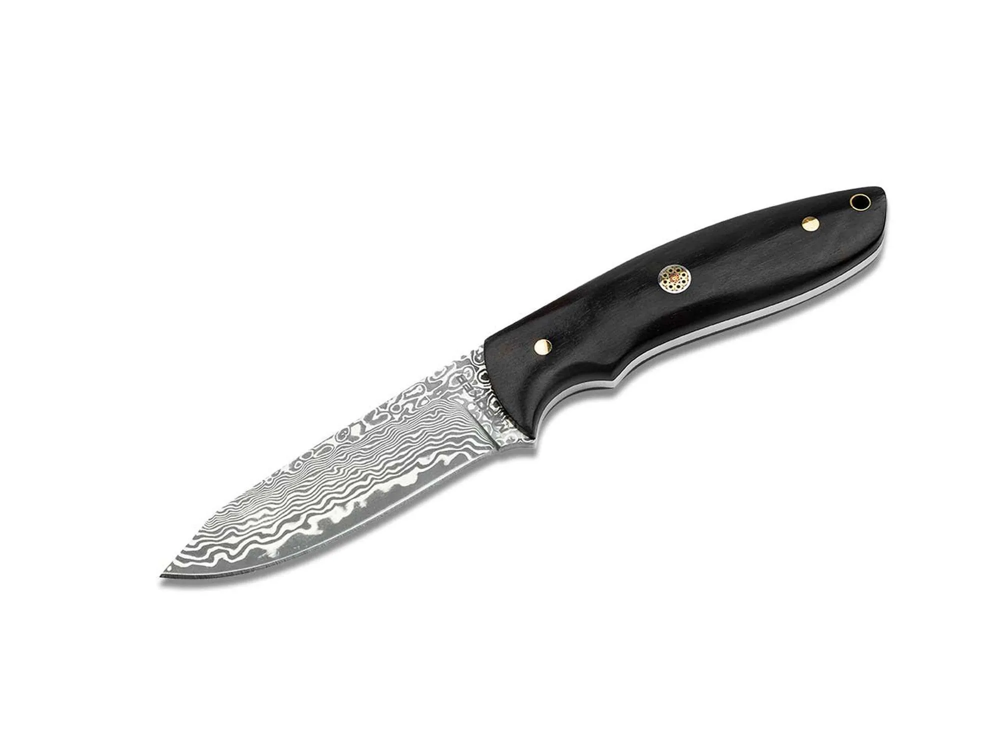 2026_05_23_786870